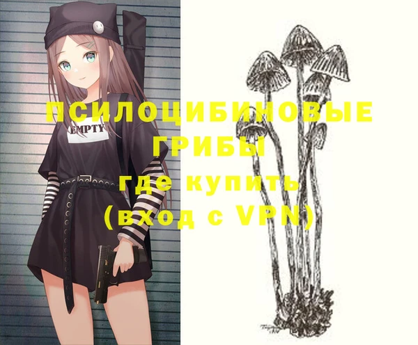 Альфа ПВП Кулебаки