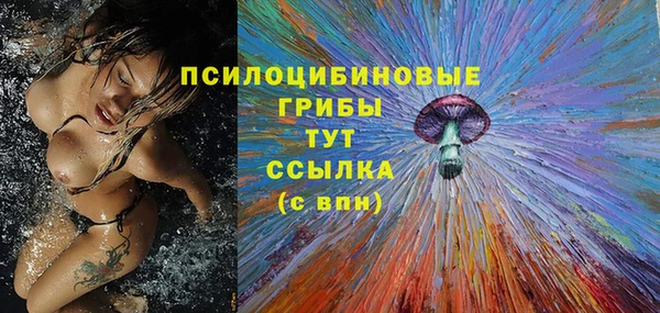 apvp Абаза